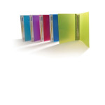 Rapesco 4-Ring A4 20mm Ringbinder Assorted, Pack of 10
