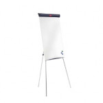Nobo Barracuda Magnetic Easel, H1000 x 675mm