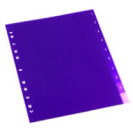 Rexel Translucent Indexes - A4