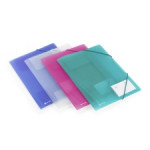 Rexel Ice Four Fold File