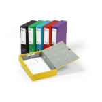 Eastlight Karnival Box Files
