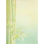 Decadry llustration Landscape Classic Collection Bamboo A4, 80gsm, Pack of 100