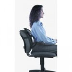 Fellowes Office Suites™ Mesh Back Support