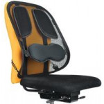 Fellowes Professional Series™ Mesh Back Support