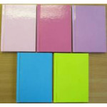 Ivy Case Bound Hard Back Books A5/A6