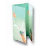 Decadry 3 Fold Event Cards, A4 folded size: 100x210mm 135gsm, Champagne, Pack of 14 Cards