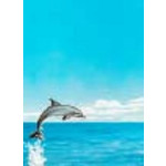 Decadry Illustration Landscape Classic Collection - Dolphin