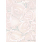 Decadry Preprinted A4 Carpet of Roses Paper, 90gsm