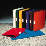 ESSELTE A4 2RINGBINDER 25MM