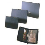 Goldline Presentation Case
