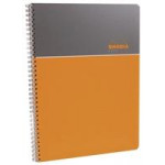 RHODIA METALLIC NOTEBOOKS