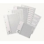 Concord Premium PVC Index, A4 4 hole, 1-31.