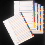 Concord Index A4 A-Z Plastic Multicoloured