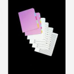 Concord Unpunched Presentation Indexes