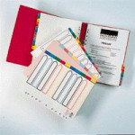 Concord A4 Extra Wide Multi-Coloured Indexes