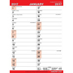 Salmon Large Engagement Calendar 2017