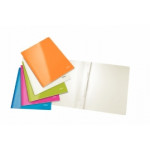 LEITZ WOW RANGE - FLAT BAR FILES