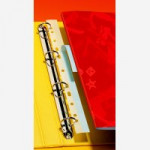 Pelltech File Strips