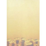 Decadry All Purpose Paper 80gsm Money, Pack of 10