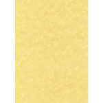 Decadry Co-Ordinated CorporateLine Range - Parchment Gold