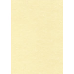 Decadry Champagne Parchment Paper & Card
