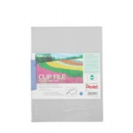 PENTEL A4 CLIP FILES