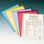 Rexel Nyrex Folder A4 PVC Assorted PFA4C