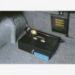 Vehicle Security Box with Adjustable Cable Lock
