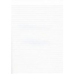 Silvine Ruled Fly Papers