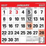 Salmon Small Boldtype Calendar 2017
