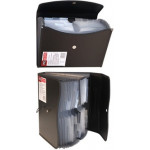 Sterling Proactive Expanding Files