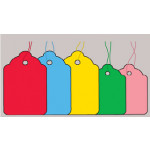 CLIPPER COLOURED STRUNG TAGS