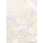 Decadry Illustrated A4 Paper - Butterfly Garden