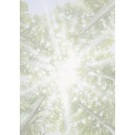 Decadry Illustration Textures Classic Collection A4 Undergrowth, 80gsm, Pack of 100