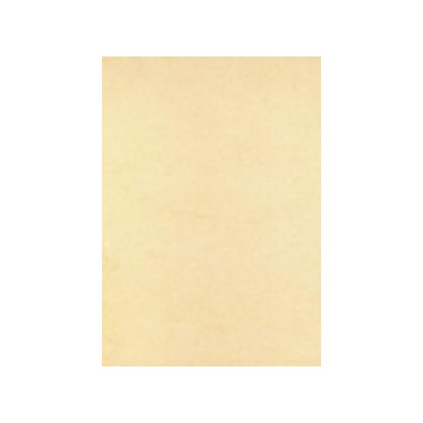 Abacus Unstrung Tags, Cream / Buff, 210gsm, Pack of 1000