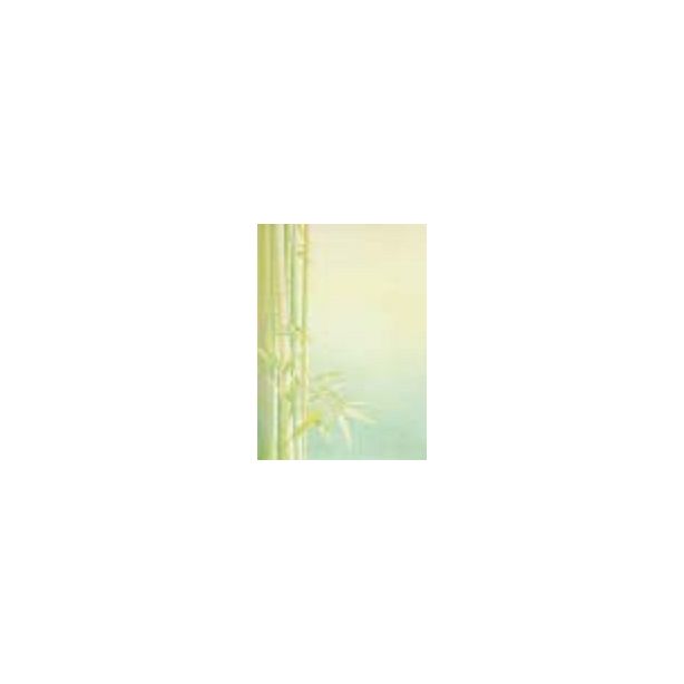 Decadry Classic Collection Bamboo A4, 80gsm, Pack of 6