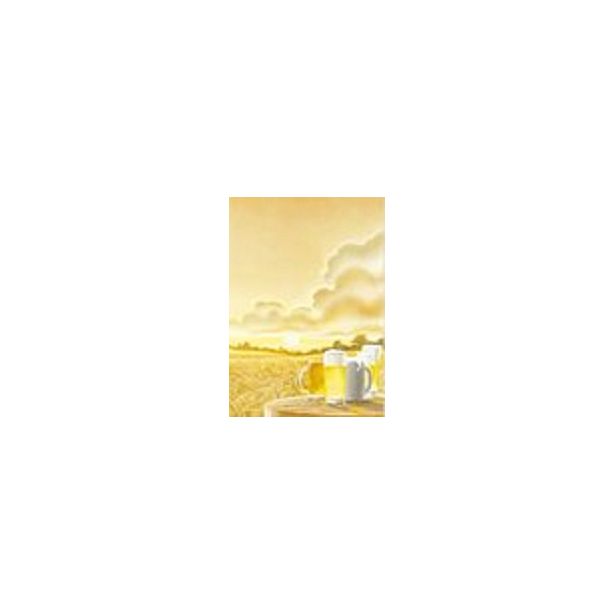 Decadry Illustration Paper. Beer. A4. Pack of 10