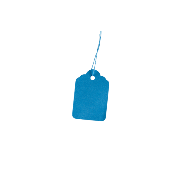 Clipper Strung Tickets, E23C, 32 x 22mm, Blue, Pack of 100  