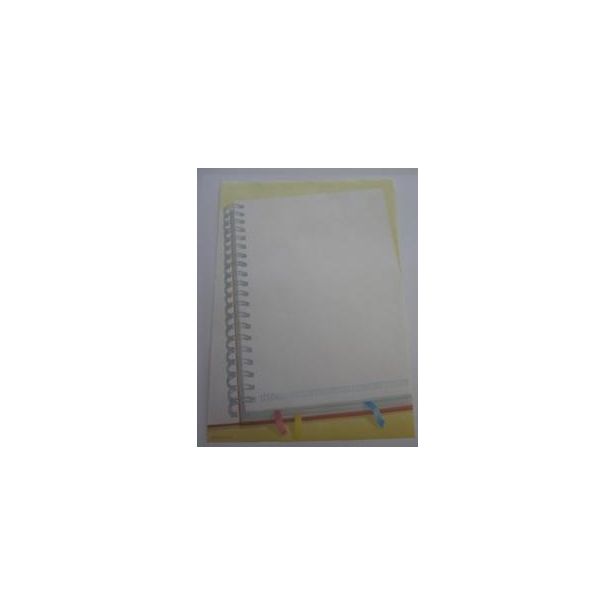 Decadry Paper, Diary, A4, 80gsm, Pack of 10