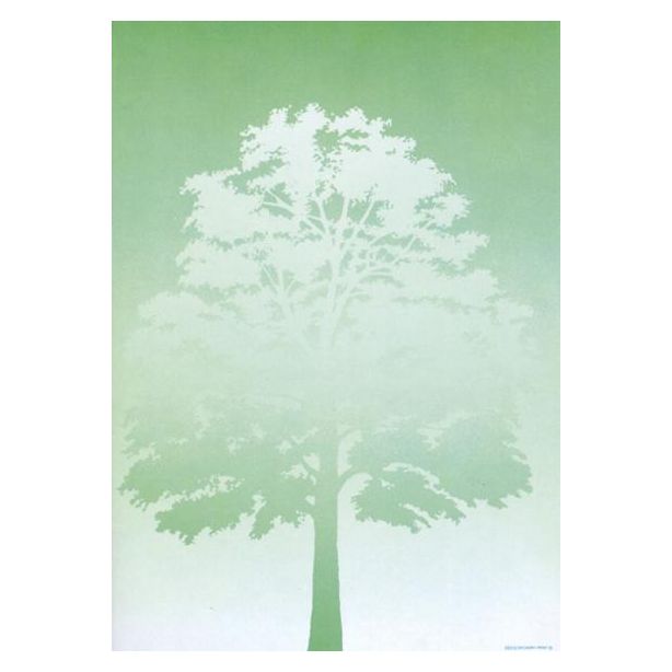 Decadry Preprinted A4 Paper, Tree, 80gsm, Pack of 100