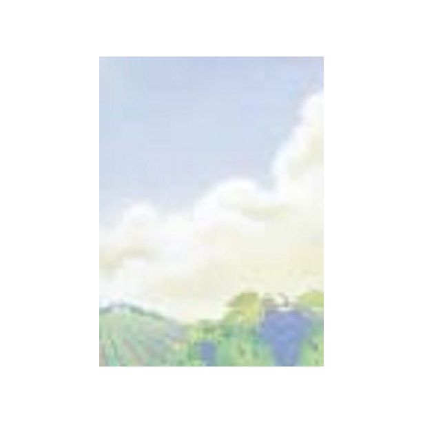Decadry Paper, Vineyard, A4, 80gsm, Pack of 10