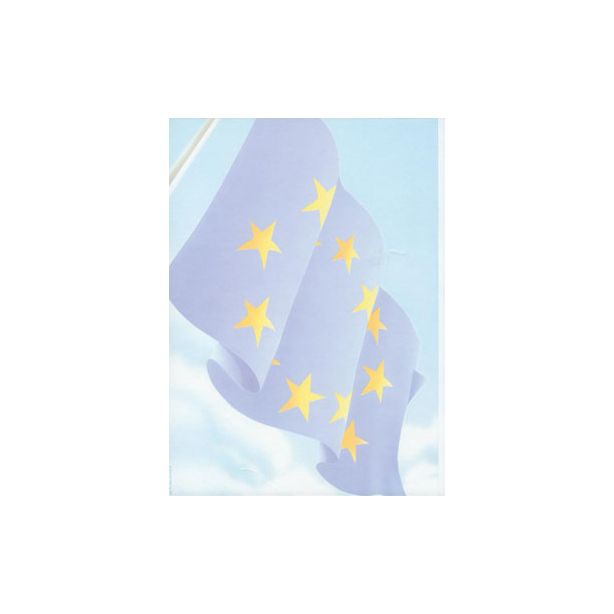Decadry Paper, Euro Flag, A4, 80gsm, Pack of 10