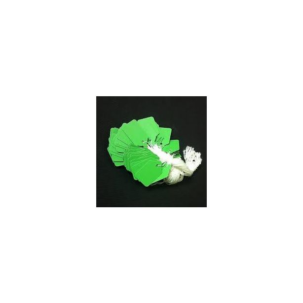 Clipper Strung Tickets, E23C, 32 x 22mm, Light Green, Pack of 100 