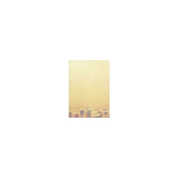 Decadry All Purpose Paper 80gsm Money, Pack of 10