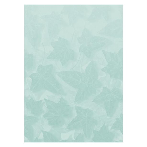 Decadry Illustrated Multipurpose A4 Paper Ivy 80gsm Pack of 100 