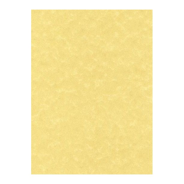 Decadry CorporateLine Letterhead, Parchment Gold, 95gsm, Pack of 25 