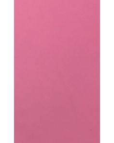 Letraset Letrafilm Pantone 201 Matt Colour Tint Overlay