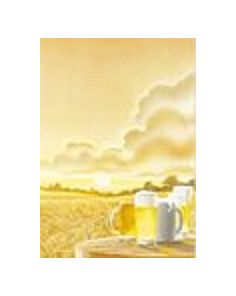 Decadry Illustration Paper. Beer. A4. Pack of 10