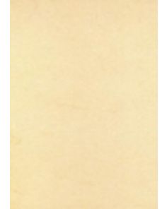 Abacus Unstrung Tags, Cream / Buff, 210gsm, Pack of 1000