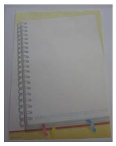 Decadry Paper, Diary, A4, 80gsm, Pack of 10